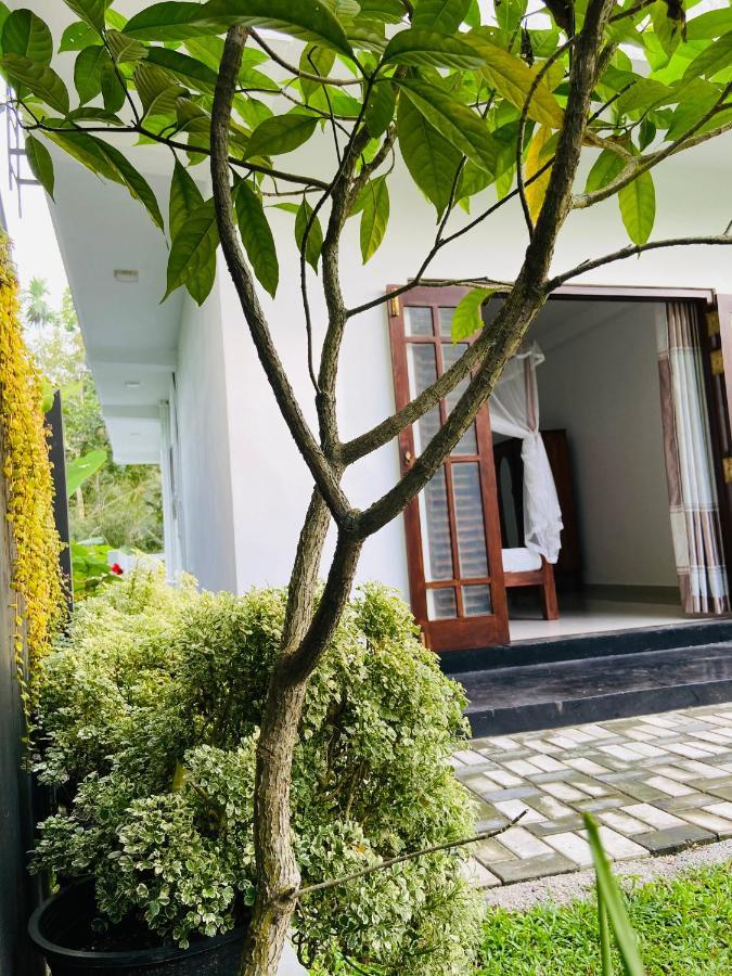 Sun White Villa Hikkaduwa Bagian luar foto