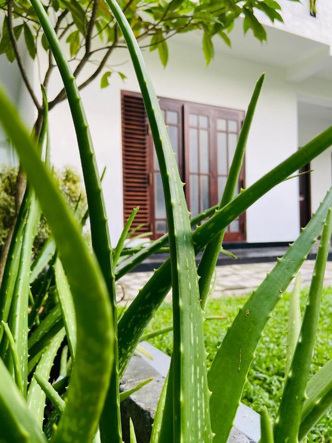 Sun White Villa Hikkaduwa Bagian luar foto